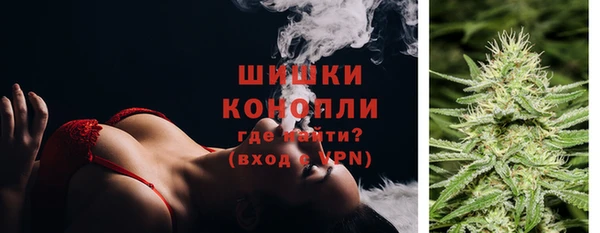 индика Балабаново
