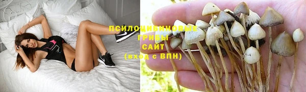 мдпв Балахна