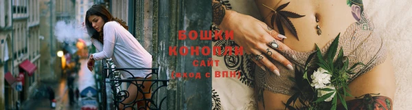 индика Балабаново