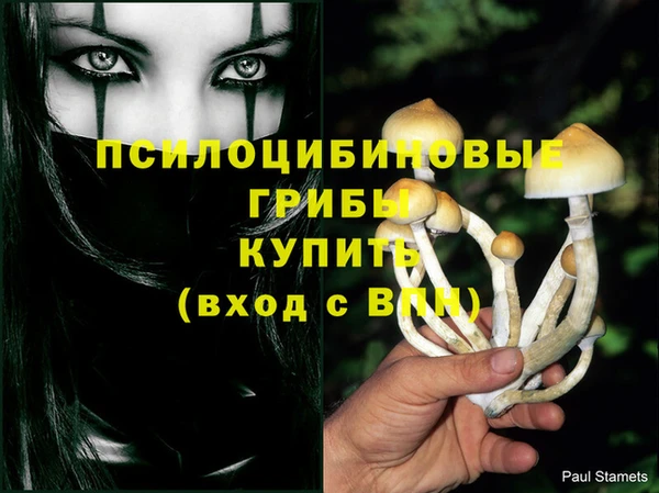 мдпв Балахна